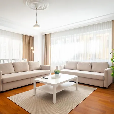 Centrally Located Sleek And Modern Flat In Sisli *